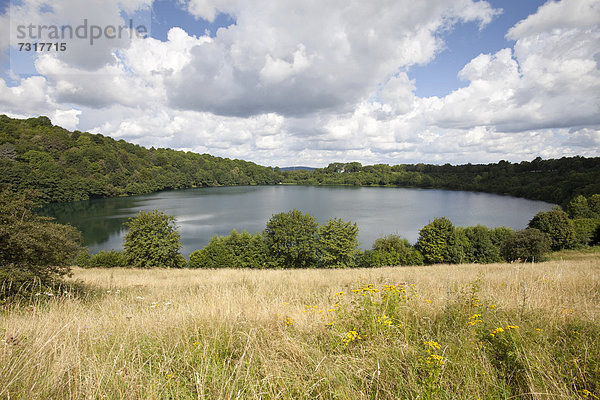 Weinfelder Maar  Schalkenmehren  Daun  Eifel  Rheinland-Pfalz  Deutschland  Europa  ÖffentlicherGrund