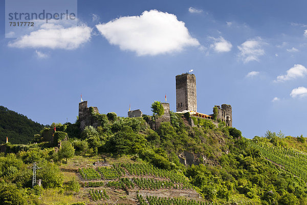 Burg Metternich  Beilstein  Mosel  Rheinland-Pfalz  Deutschland  Europa  ÖffentlicherGrund