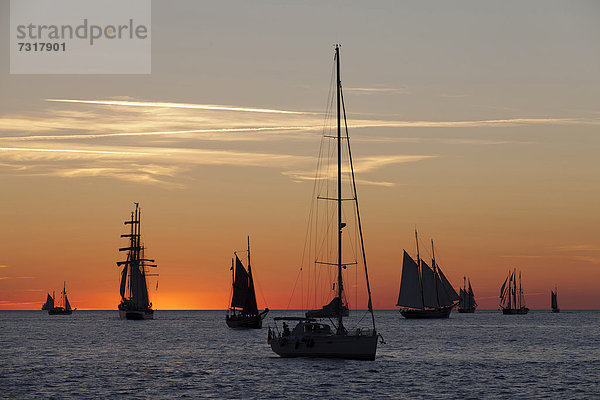 Segelschiffe bei Sonnenuntergang  Hanse Sail 2012  Warnemünde  Mecklenburg-Vorpommern  Deutschland  Europa
