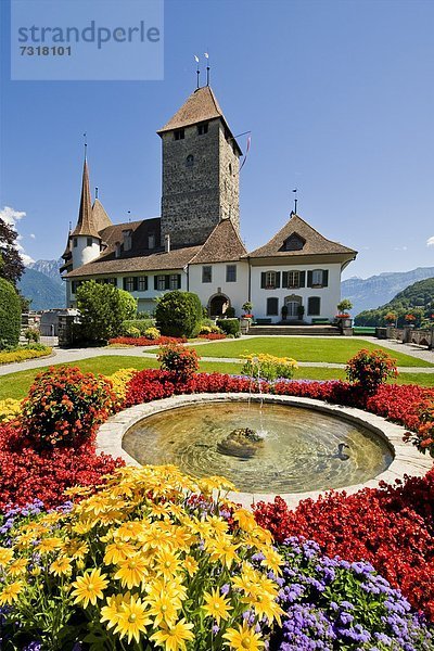 Kanton Bern Spiez Schweiz