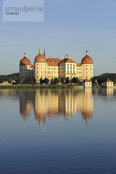 Schloss Moritzburg  Sachsen  Deutschland  Europa