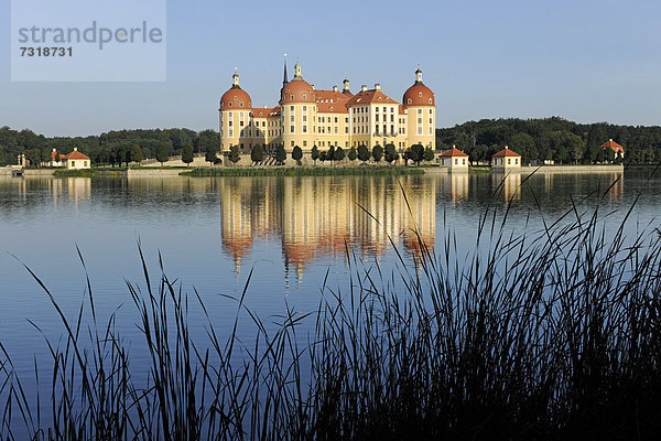 Schloss Moritzburg  Sachsen  Deutschland  Europa