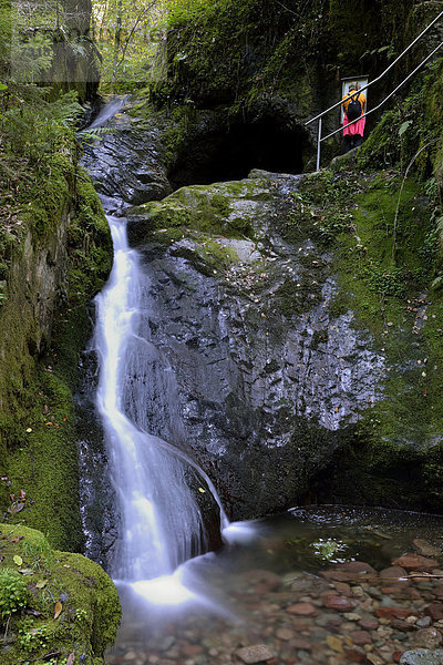 Edelfrauengrab-Wasserfälle im Gottschlägtal bei Ottenhöfen nahe dem Karlsruher Grat im Nordschwarzwald  Schwarzwald  Baden-Württemberg  Deutschland  Europa