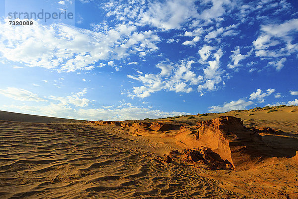 Namib Wüste  Namib Naukluft Park  Namibia  Afrika