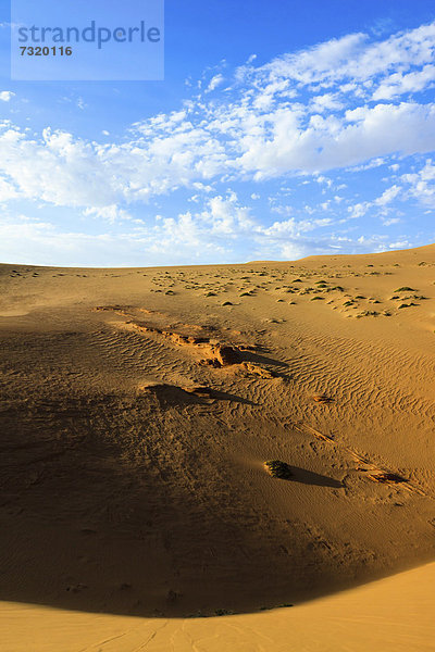 Namib Wüste  Namib Naukluft Park  Namibia  Afrika