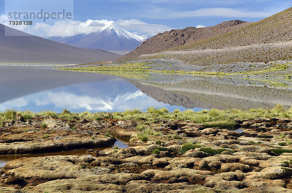 Lagune auf dem Altiplano  bei Uyuni  Bolivien  Anden  Südamerika