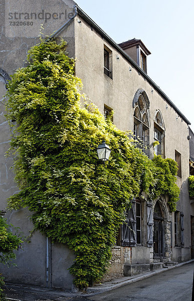 Frankreich Europa Wohnhaus Pflanze Fassade Hausfassade Burgund