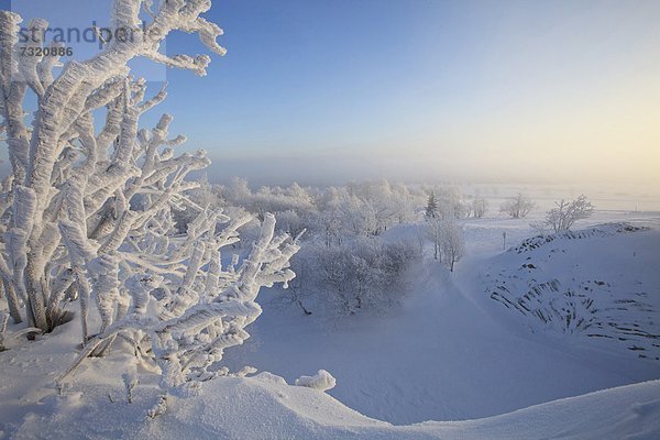 Hirtstein  Erzgebirge  Sachsen  Deutschland  Europa