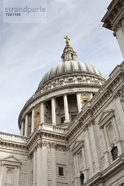 Blick hoch zur Kupple der St. Paul's Cathedral  London  England  Großbritannien  Europa