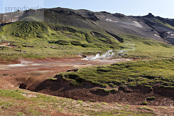 Geothermalgebiet mit Schlammteich  Hellisheidi  Island  Europa