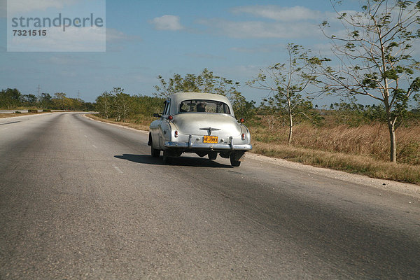 Ein Oldtimer auf der Autopista von Vinales nach Havanna  Kuba  Amerika