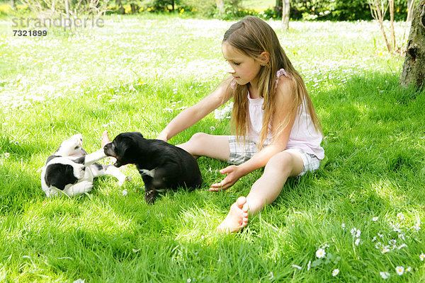 Mädchen spielt draußen mit jungen Hunden