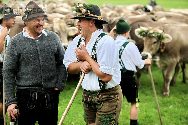 Kuhhirten  Männer in traditioneller Tracht bei der Viehscheid  Thalkirchdorf  Oberstaufen  Bayern  Deutschland  Europa
