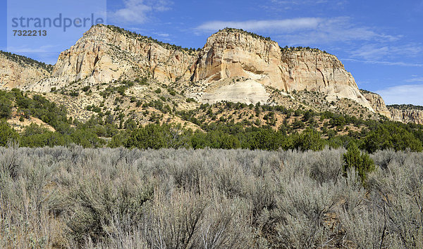 Vermilion Cliffs  Johnson Canyon  Johnson Canyon Road  Grand Staircase-Escalante National Monument  Utah  Südwesten  Vereinigte Staaten von Amerika  USA