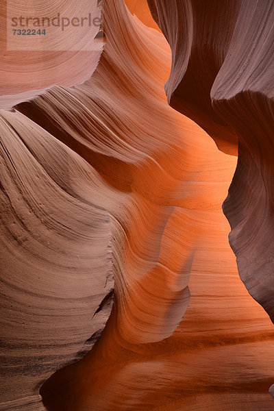Roter Sandstein der Moenkopi-Formation  Gesteinsformen  Farben und Strukturen im Lower Antelope Slot Canyon  Corkscrew Canyon  Page  Navajo Nation Reservation  Arizona  Südwesten  Vereinigte Staaten von Amerika  USA