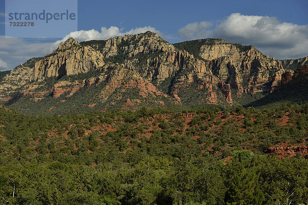 Red Rocks  Oak Creek Canyon  Sedona Arizona  Südwesten  Vereinigte Staaten von Amerika  USA