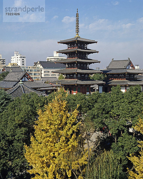 Japan Kyoto Pagode