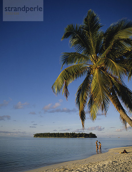 Tropisch  Tropen  subtropisch  Strand  jung  Malediven