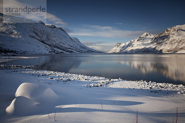 Ersfjord im Winter  Tromsö  Norwegen  Europa