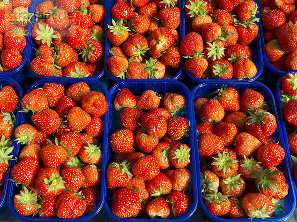 Erdbeeren in Schalen