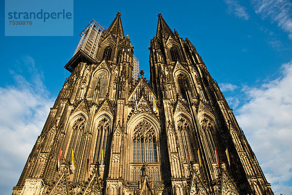 Westfassade  Doppelturmfront vom Kölner Dom mit Hängegerüst für Renovierungsarbeiten  Köln  Nordrhein-Westfalen  Deutschland  Europa  ÖffentlicherGrund