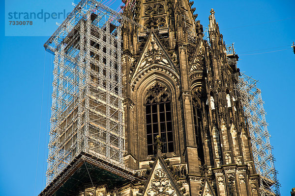 Westfassade  Nordturm vom Kölner Dom mit Hängegerüst für Renovierungsarbeiten  Köln  Nordrhein-Westfalen  Deutschland  Europa  ÖffentlicherGrund