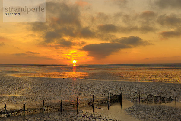 Sonnenaufgang an der Nordsee  Insel Texel  Westfriesische Inseln  Niederlande  Holland  Europa