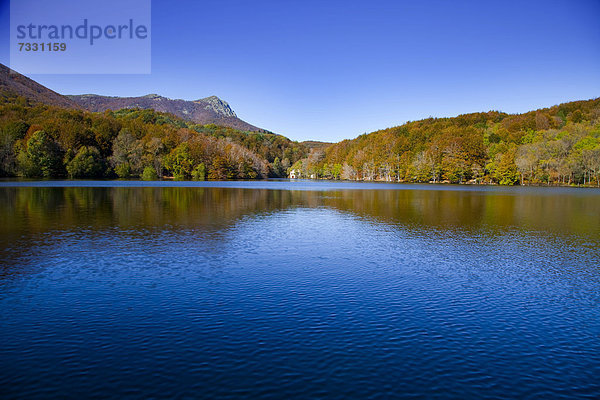 Santa Fe-See im Herbst  von einem Laubwald umgeben  Montseny  Katalonien  Spanien  Europa
