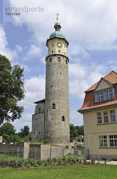 Neideckturm  Schlossturm  Ruine des Renaissance-Wasserschlosses Neideck  geschütztes Bodendenkmal  Arnstadt  Thüringen  Deutschland  Europa