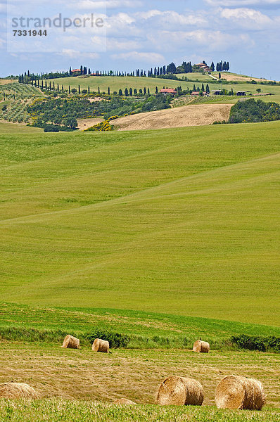 Felder mit Strohballen  Val d'Orcia  Pienza  Provinz Siena  Toskana  Italien  Europa