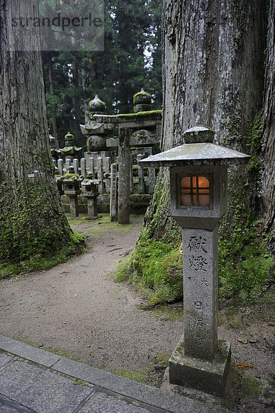 Brennende Steinlaterne  Okuno-in  berühmtester Friedhof in Japan  UNESCO Weltkulturerbe  Koya-san  Wakayama  bei Osaka  Japan  Ostasien