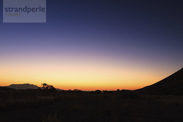 Sonnenuntergang beim Brandberg  Damaraland  Namibia  Afrika