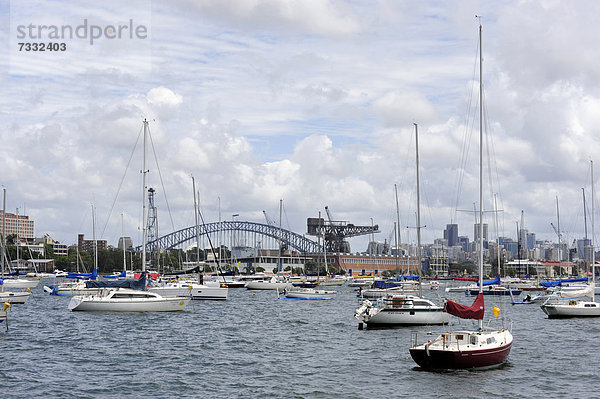 Segelboote im Rushcutters Bay  Sicht auf Elisabeth Bay und Sydney Harbour Bridge Brücke  Sydney  New South Wales  NSW  Australien
