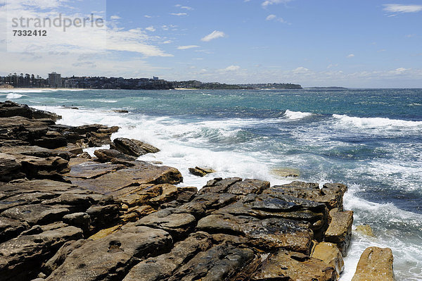 Felsige Küste bei Manly Beach  North Sydney  New South Wales  NSW  Pazifischer Ozean  Australien