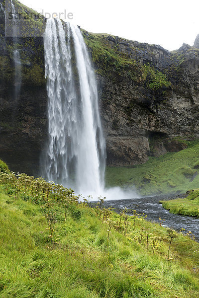 Skogafoss Wasserfall  Südisland  Island  Europa