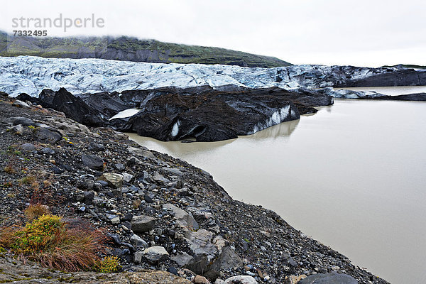 SvÌnafellsjökull Gletscher  Skaftafell-Nationalpark  Südisland  Island  Europa
