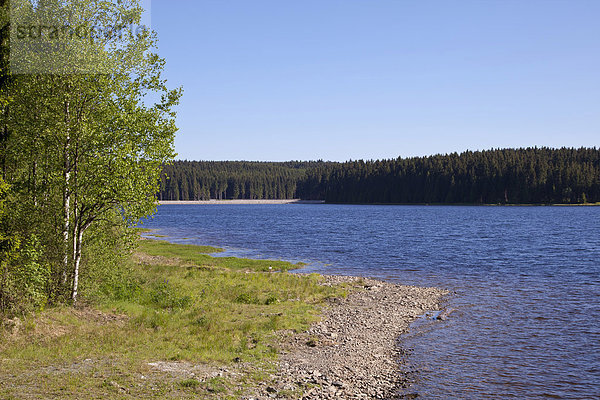 Talsperre Muldenberg  Vogtland  Sachsen  Deutschland  Europa