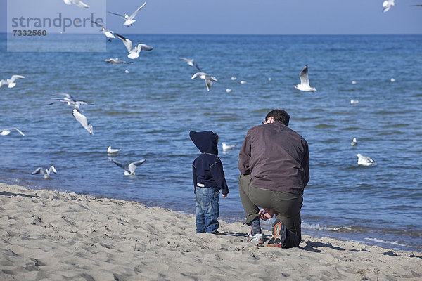 Mann mit Kind beim Möwenfüttern am Strand von Baabe  Insel Rügen  Ostseeküste  Mecklenburg-Vorpommern  Deutschland  Europa