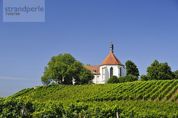 Kloster Vogelsburg auf dem Weinberg  Weinhang der Vogelsburg  Volkach  Bayern  Deutschland  Europa