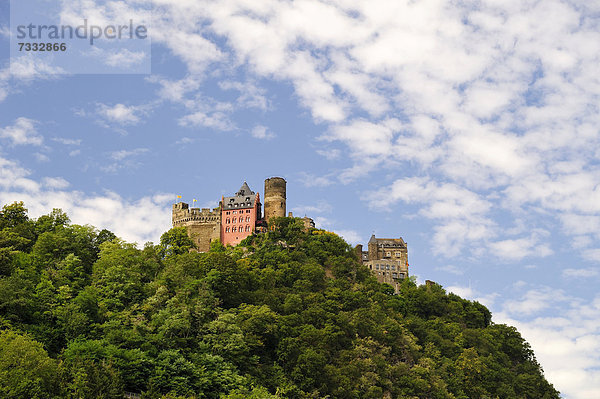 Burg Schönburg  Oberwesel  Rheinland-Pfalz  Unesco Weltkulturerbe Oberes Mittelrheintal  Deutschland  Europa