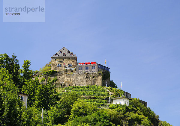 Burg Rheinfels  Sankt Goar  St. Goar  Unesco Weltkulturerbe Oberes Mittelrheintal  Rheinland-Pfalz  Deutschland  Europa