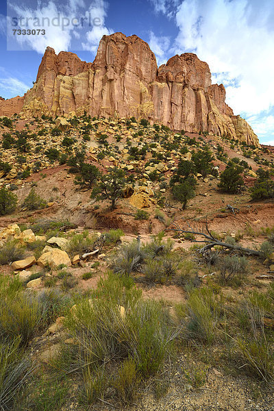 The Castle  legendäre Burr Trail Road  Grand Staircase-Escalante National Monument  GSENM  Utah  Südwesten  Vereinigte Staaten von Amerika  USA