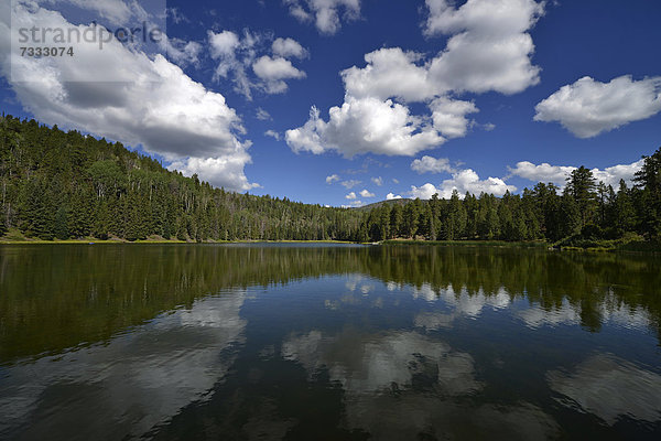 Posey Lake  Dixie National Forest  Utah  Südwesten  Vereinigte Staaten von Amerika  USA