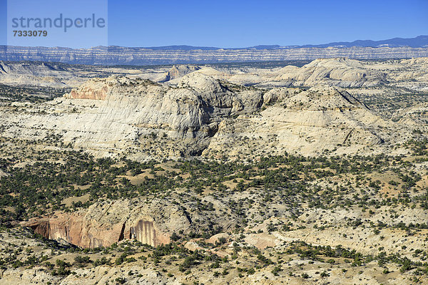 Blick auf Devil's Backbone  Grand Staircase-Escalante National Monument  GSENM  Utah  Südwesten  Vereinigte Staaten von Amerika  USA