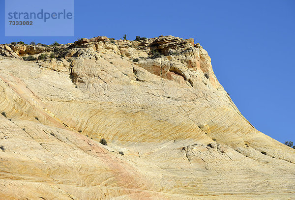 Devil's Backbone  Grand Staircase-Escalante National Monument  GSENM  Utah  Südwesten  Vereinigte Staaten von Amerika  USA