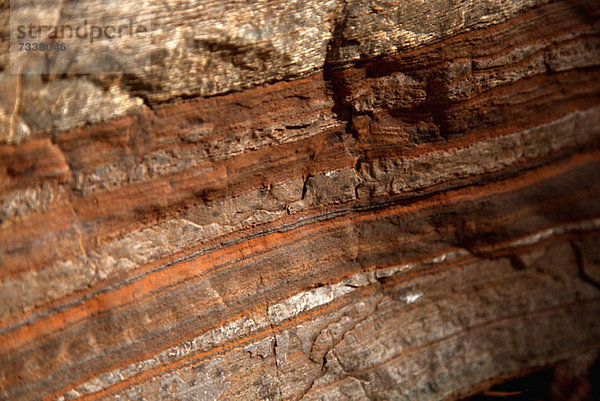 Detail der natürlichen Muster in Stein  Karijini Nationalpark  Newman  Western Australia  Australien