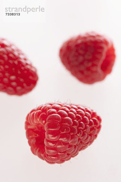 Drei Himbeeren auf weißem Grund angeordnet