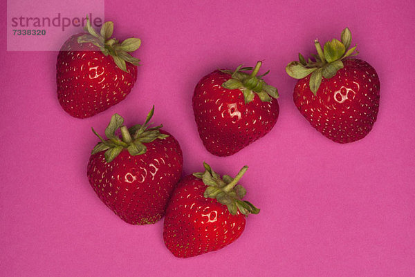 Fünf Erdbeeren auf rosa Grund