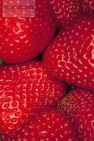 Ein Haufen Erdbeeren  Nahaufnahme  Vollbild