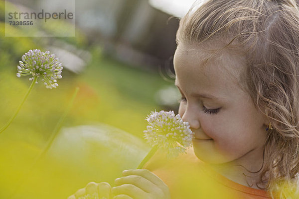 Ein junges lächelndes Mädchen  das eine Blume riecht.